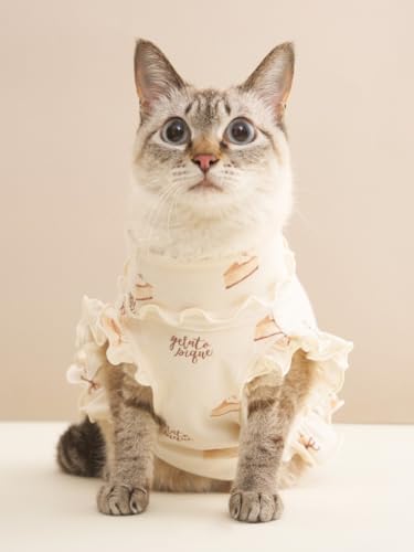 Amazon.co.jp: gelato pique ジェラートピケ: WEAR